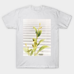 Bright young lemon tree with white blinders background. Vegan lifestyle T-Shirt